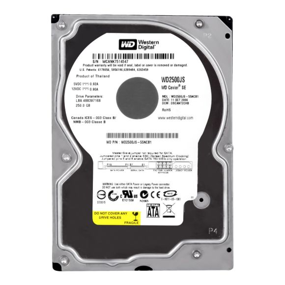 WD CAVIAR SE 250GB 7.2K 8MB SATA II 3.5'' WD2500JS